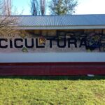 piscicultura2