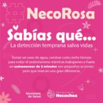 PLACA NecoRosa recomendaciones2