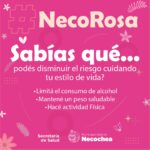 PLACA NecoRosa3