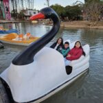lago d elos cisnes